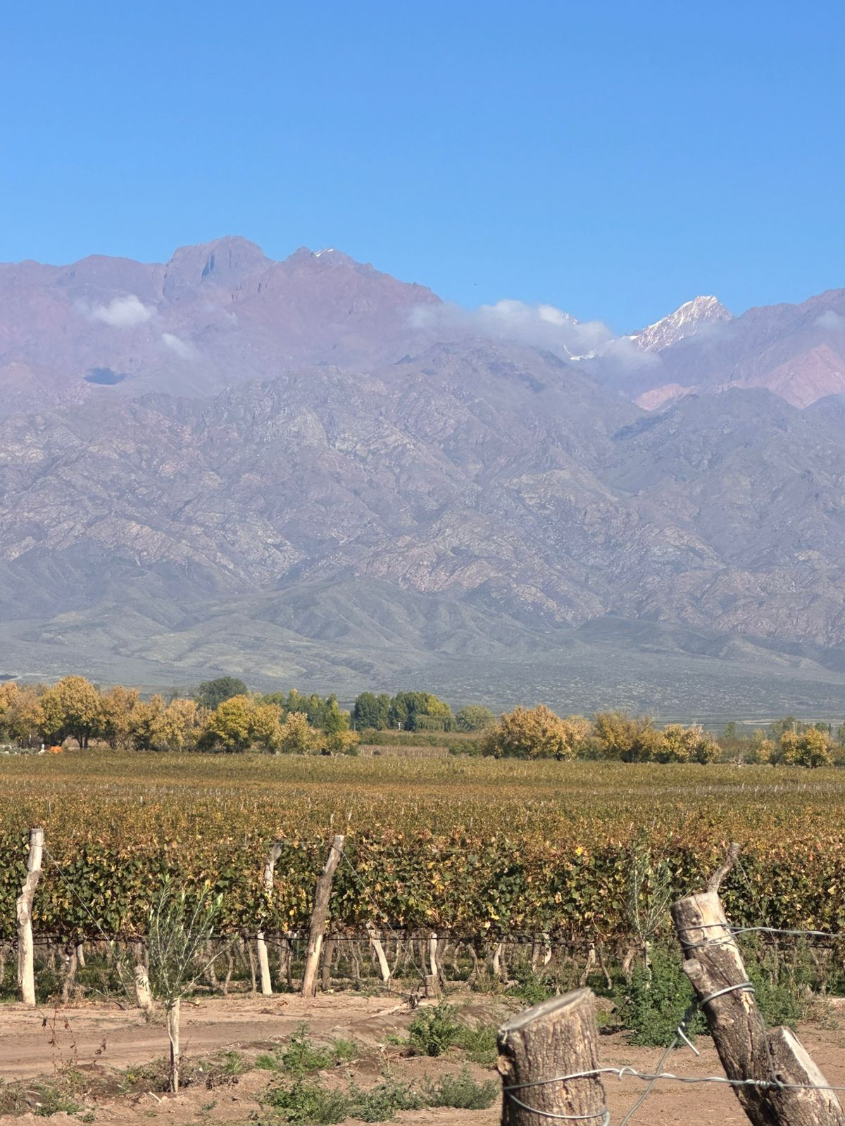 Uco Divino &mdash; Vista del desarrollo